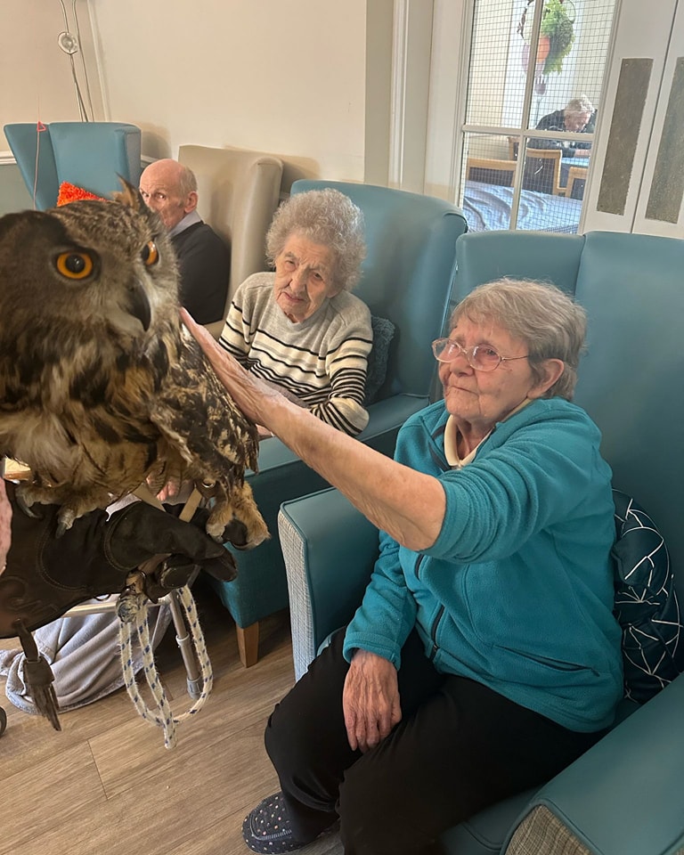Owls visit Ashlea Lodge Care Home