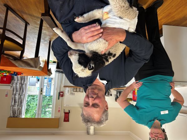 Resident with lambs
