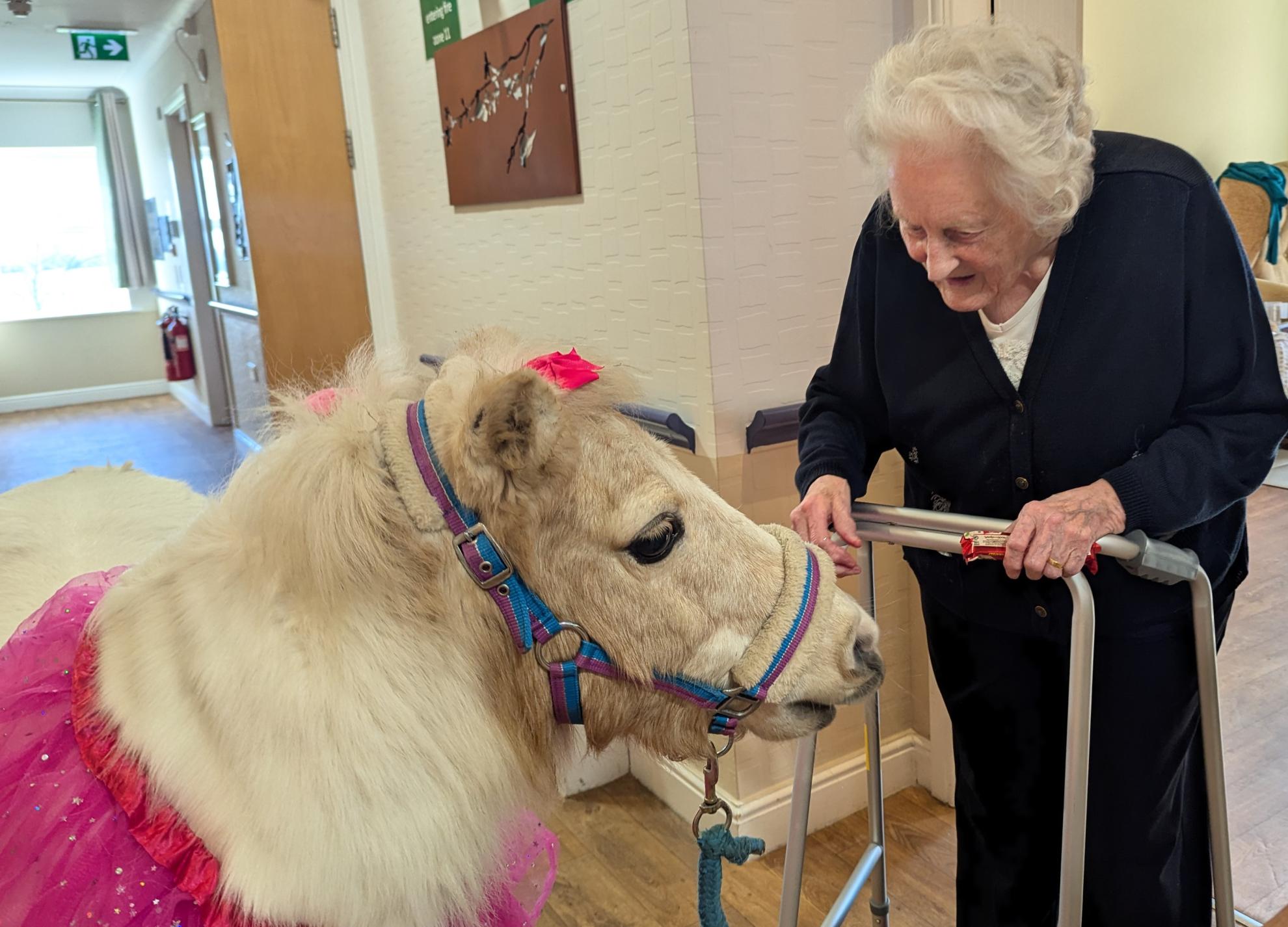 Photo of lady with Matilda the miniature pony