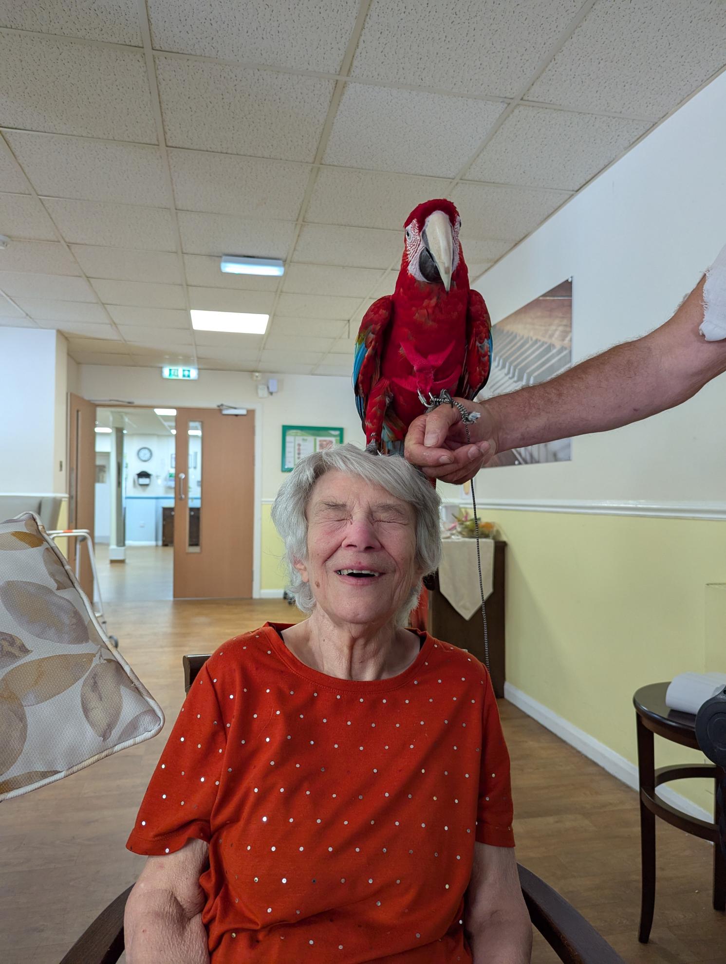 Residents at Chatsworth Lodge Care Home with parrots
