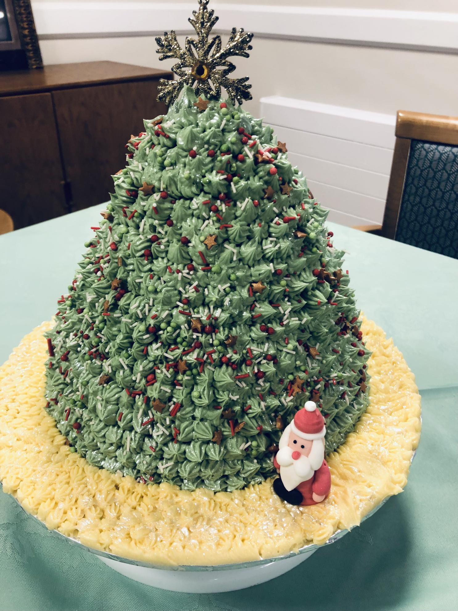 Christmas cake by Paisley Lodge in Leeds 