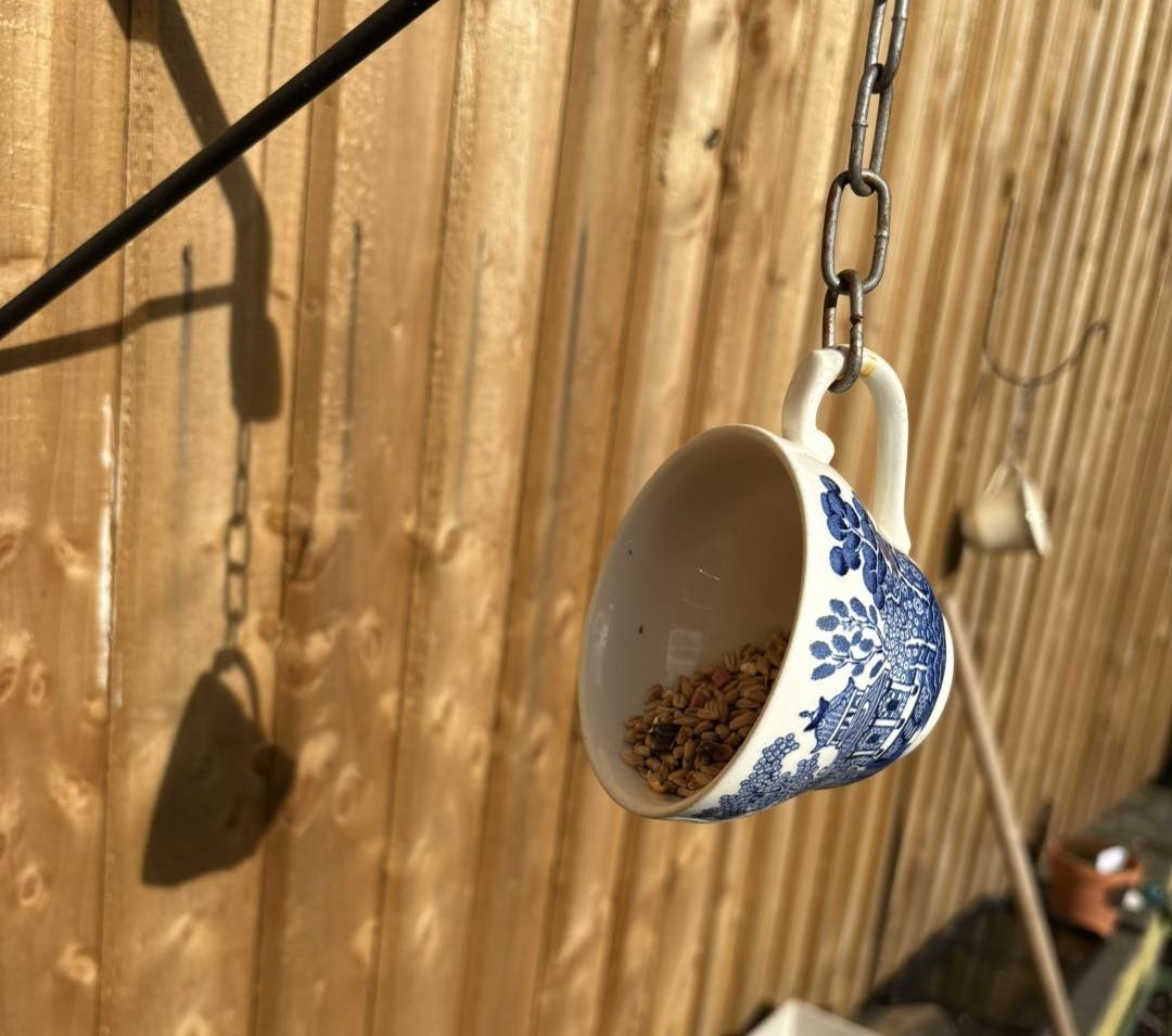 Teacup bird feeders