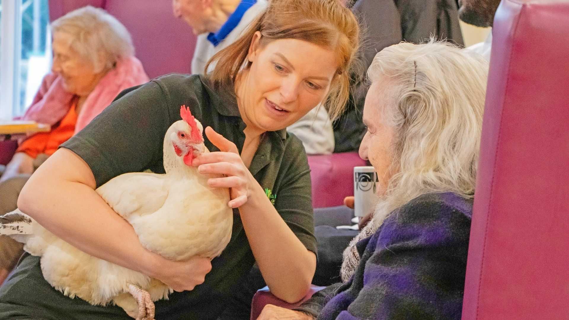 hens with residents of our sunderland care home