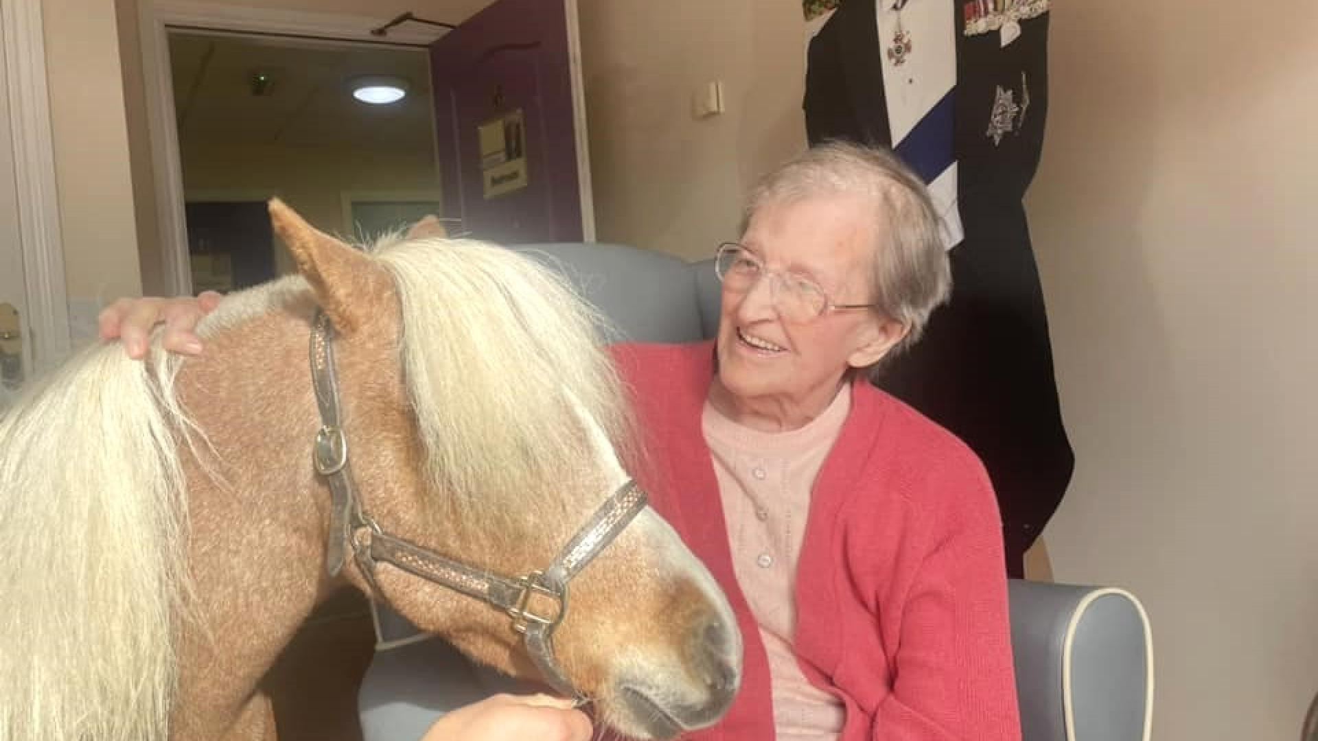 Miniature pony visit at Ashlea Mews Care Home