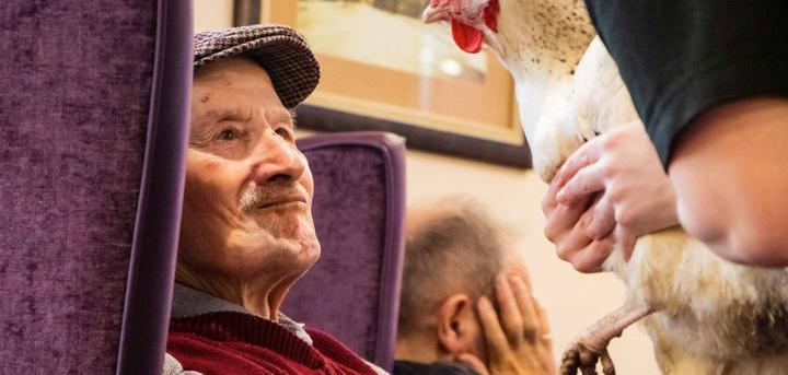 animal visits to care homes near bristol