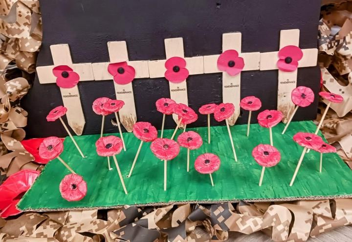 Poppy display at Archers Court Care Home in Sunderland 