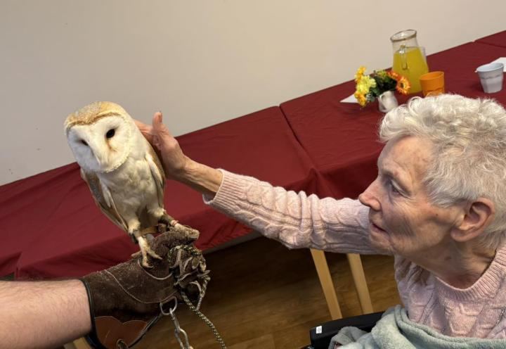 Photo of resident petting an owl