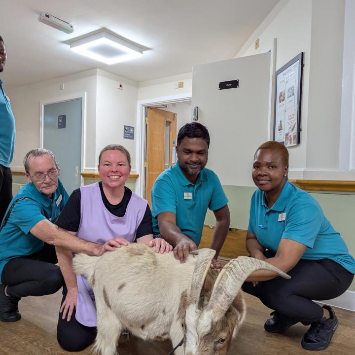 Goats visiting Paisley Lodge Care Home